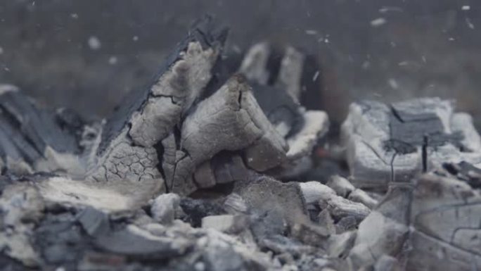 黑色金属炭炉背景上的灰色余烬和飞灰特写。行动。户外篝火和燃烧的木头