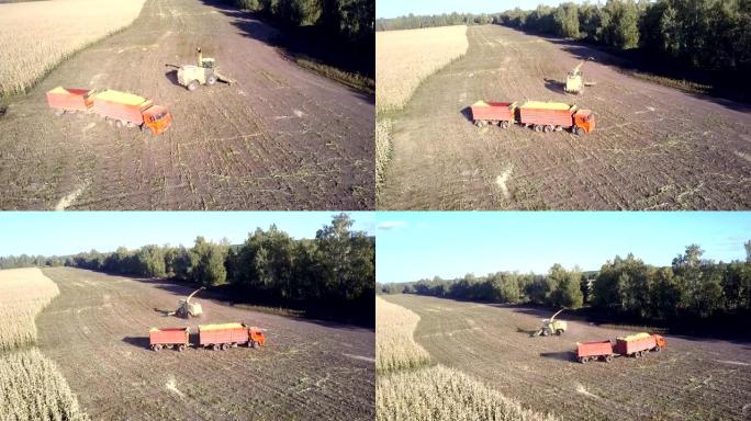 玉米联合收割机和卡车在收获的田地上转弯