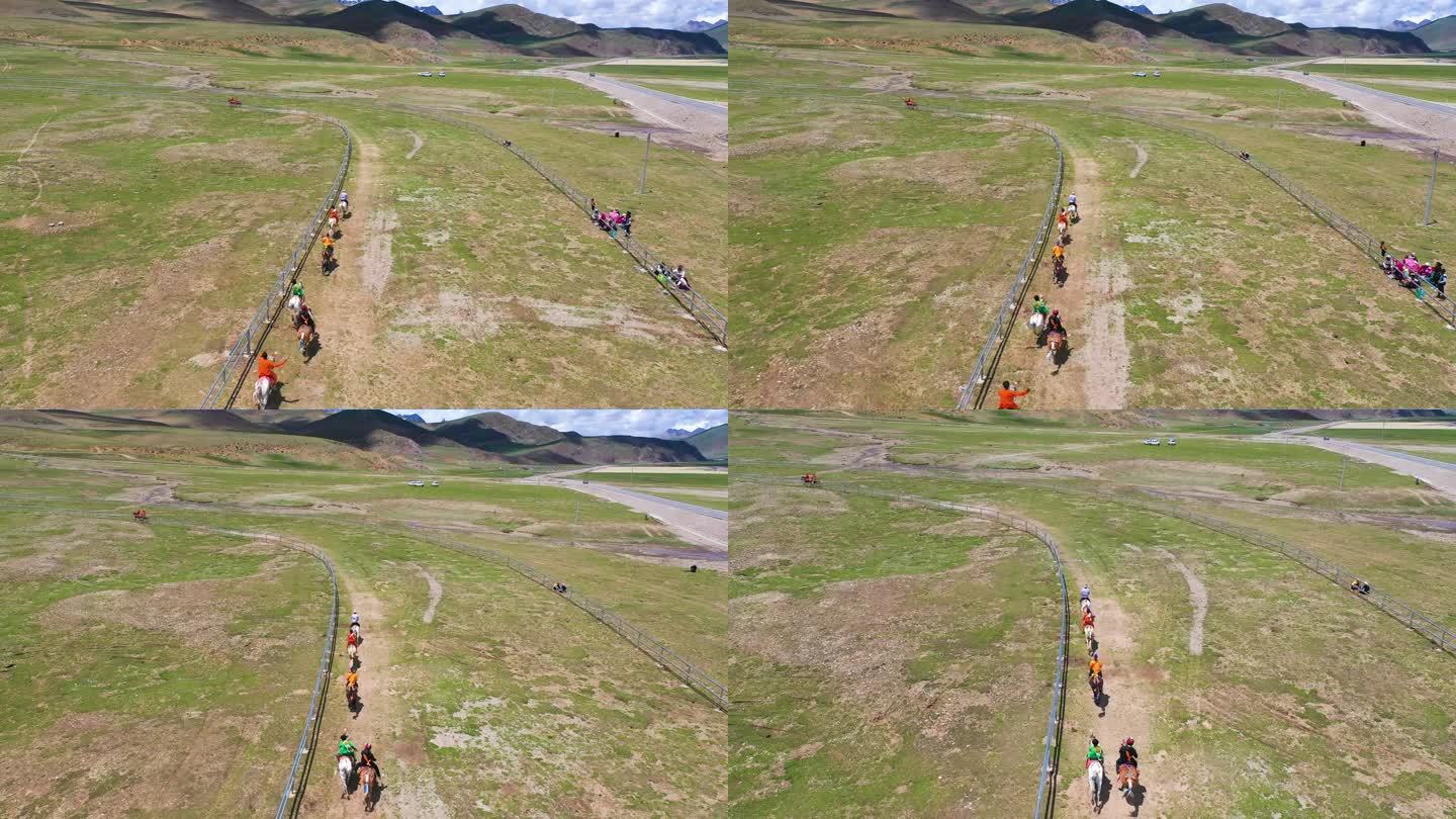藏族赛马技巧 马技 雪域高原 藏族