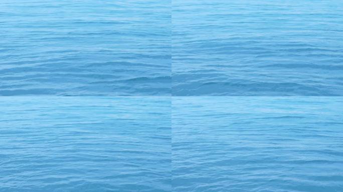 美丽的蓝色海带涟漪