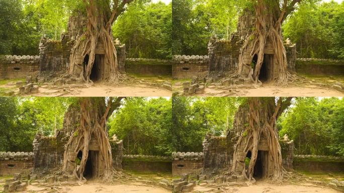 柬埔寨暹粒吴哥窟建筑群中的塔索姆寺的古老废弃遗址