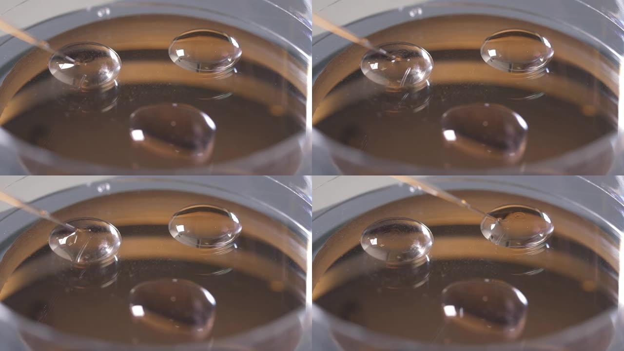 在冷冻保护剂滴液中放置胚胎的过程