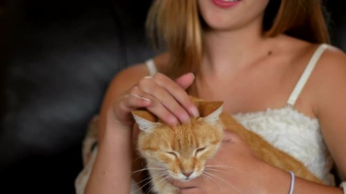 一名年轻女子在她的腿上抚摸着她的橙色猫
