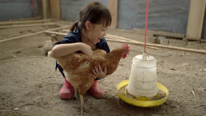快乐的微笑的亚洲小女孩在乡下的农场里抱着一只棕色的母鸡。她试图强迫母鸡吃饭。手持镜头，真实生活