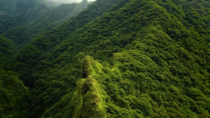 飞越郁郁葱葱的绿色丛林，棕榈树和茂密的树木生长在大山上，布满了雾和乌云。该山谷位于法属波利尼西亚热带