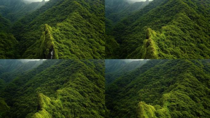 飞越郁郁葱葱的绿色丛林，棕榈树和茂密的树木生长在大山上，布满了雾和乌云。该山谷位于法属波利尼西亚热带