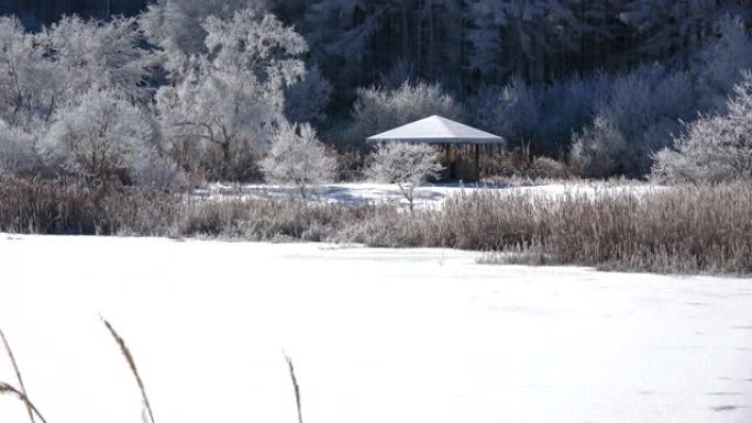 长野县日尻高原的雪域景观。