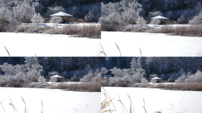 长野县日尻高原的雪域景观。