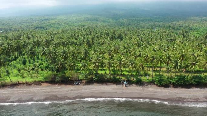 巴厘岛东北海岸。沙滩上有椰子树和蔚蓝的大海。
