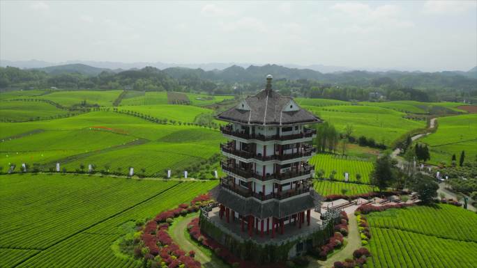 万亩茶海中国茶海景区