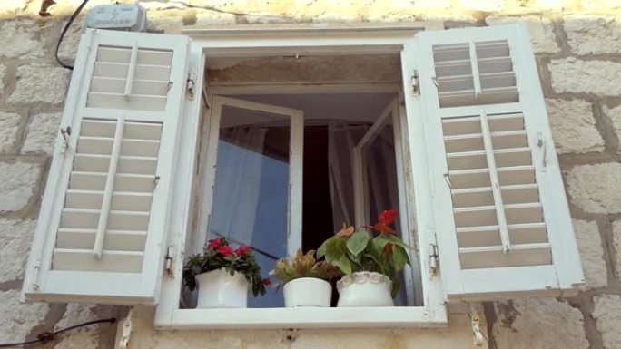 白色木窗，配有打开的百叶窗和花盆