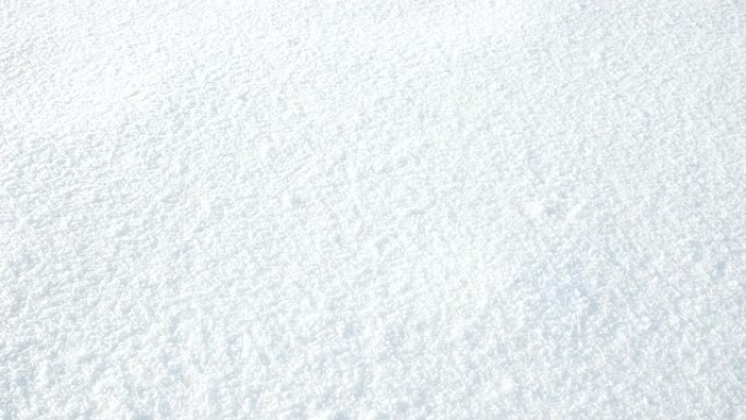 白雪皑皑的新鲜雪落在白雪皑皑的背景上。