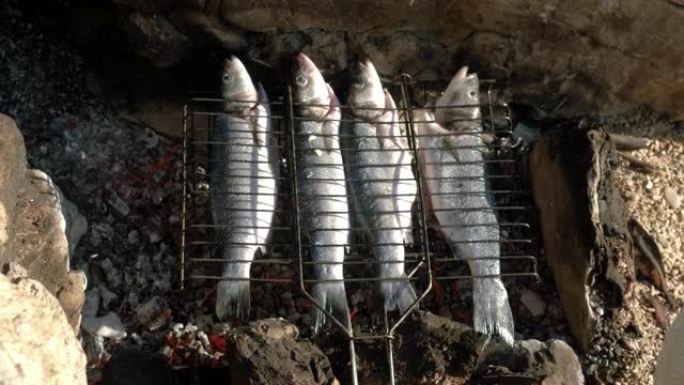 在烧烤架上烤鱼。用木炭烤的鲈鱼。4K