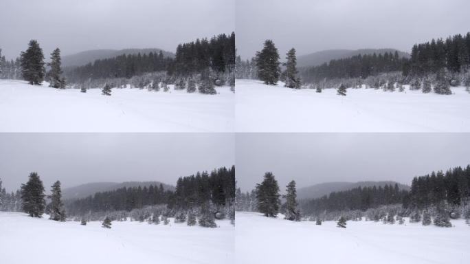 POV，慢动作的白雪冬季风景与美丽的降雪。