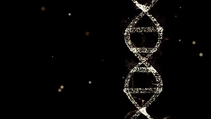 遗传学遗传概念。由具有祖先遗传特征的粒子组成的DNA的3d动画。