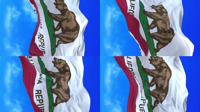 加州共和国国旗。政治团体