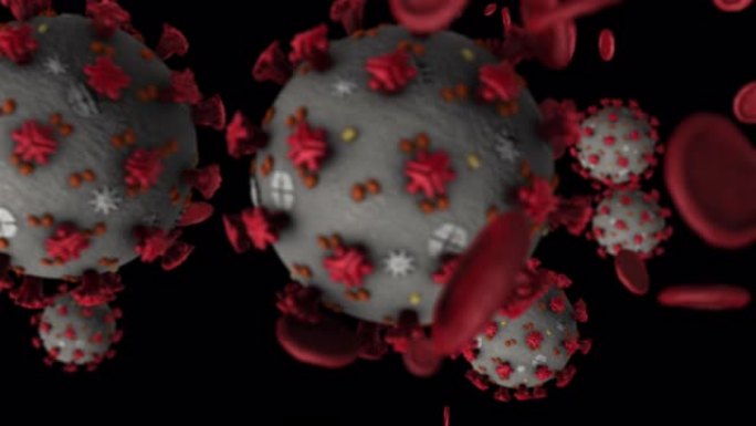 冠状病毒和红细胞幻灯片Sx