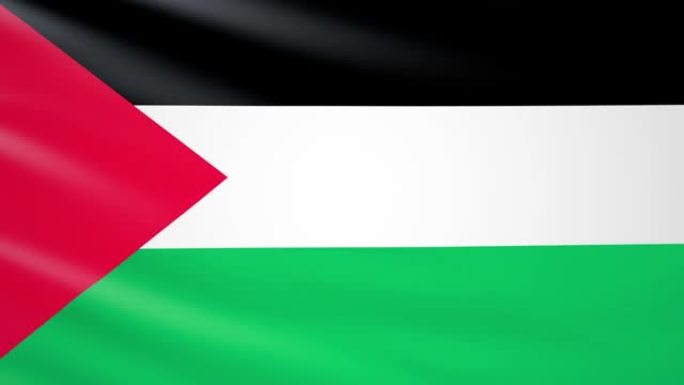 在风中挥舞的巴勒斯坦旗帜