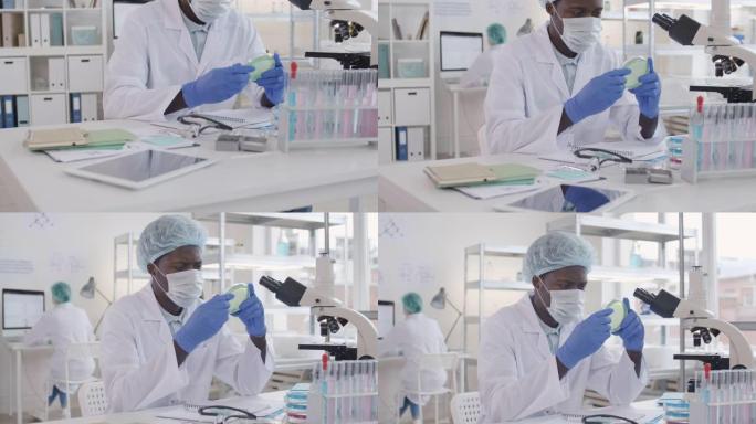 实验室病毒研究员国外外国疾病细菌观察实验