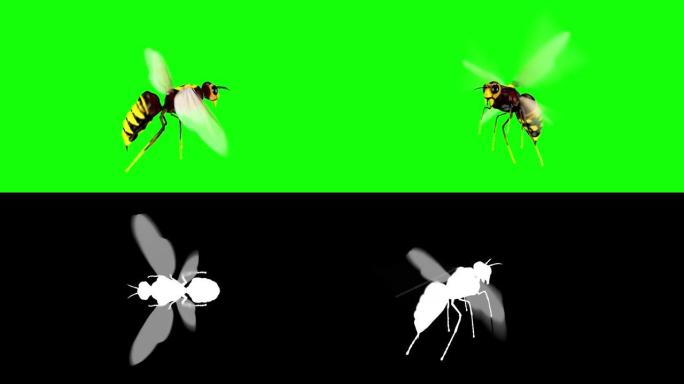 动画逼真的3D蜜蜂六种不同的相机视图循环