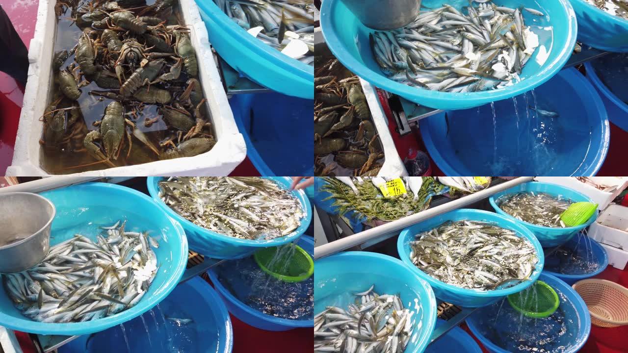 在伊斯坦布尔Karakoy区的一个市场上，大理石小龙虾和鲭鱼从附近。