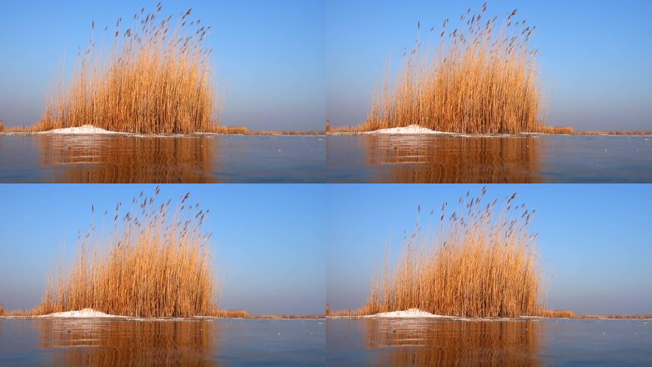 冬天的冰冻湖Neusiedler湖