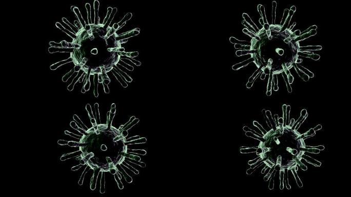 黑色背景上的冠状病毒 (新型冠状病毒肺炎) 医学动画。