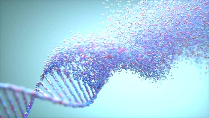 DNA遗传分子结构