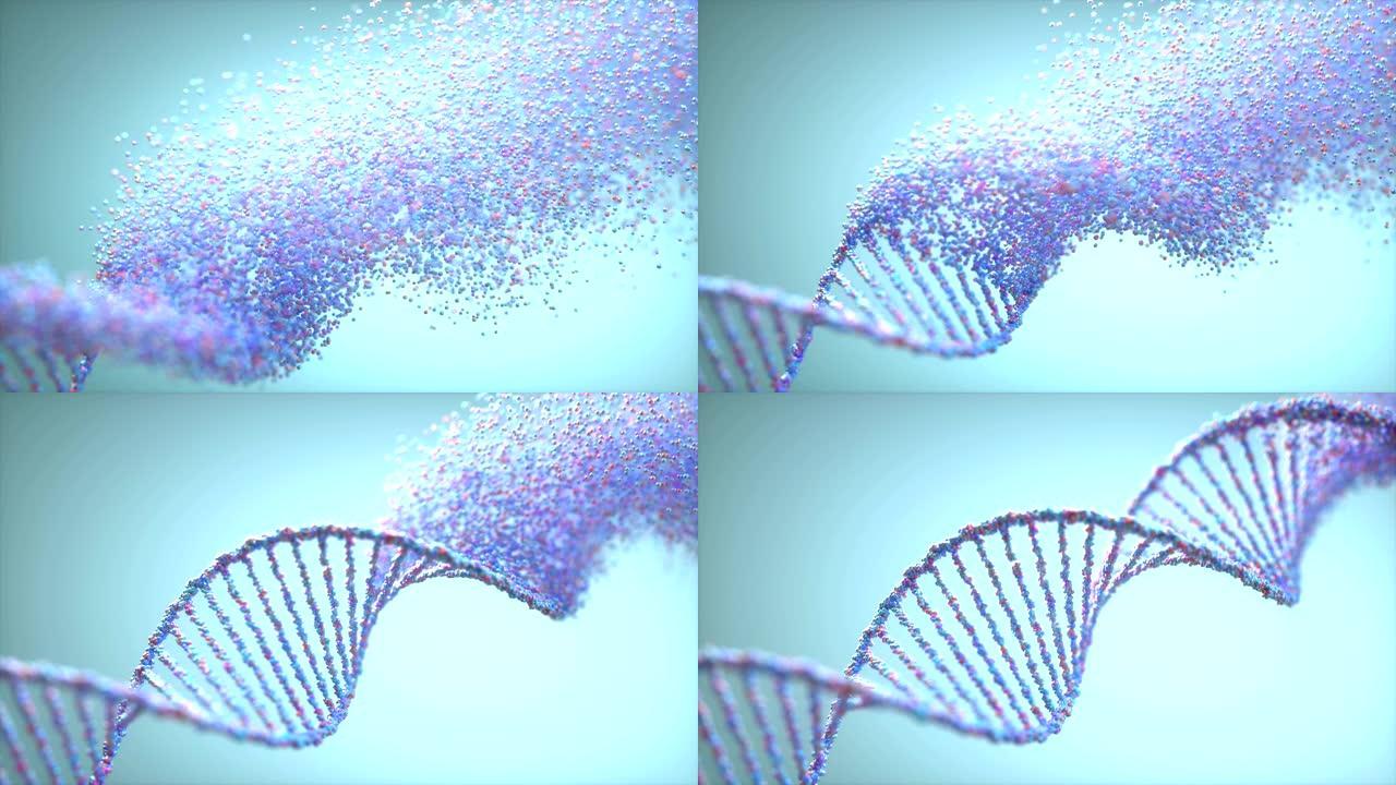 DNA遗传分子结构