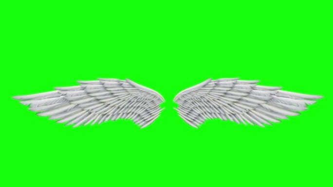天使之翼动画循环通道抠像动态绿幕抠绿