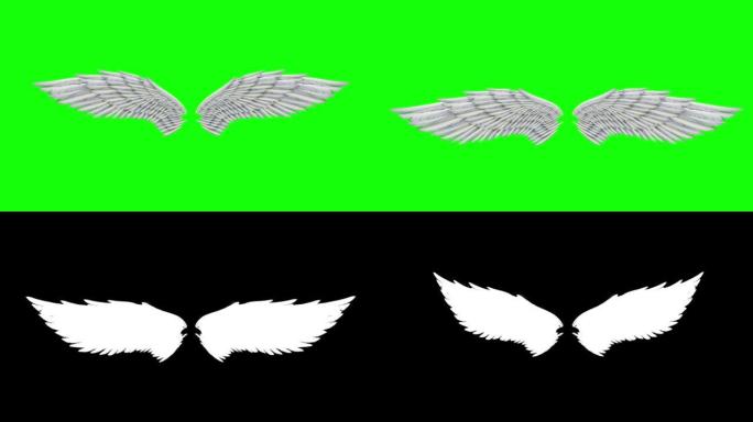 天使之翼动画循环通道抠像动态绿幕抠绿