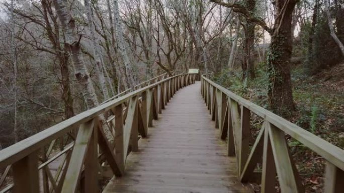 森林的木制走道木板桥