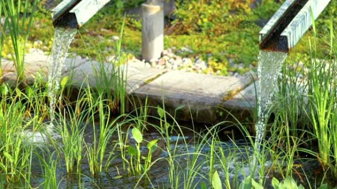 以4k慢动作60fps的速度在生态农场上水合有机植物