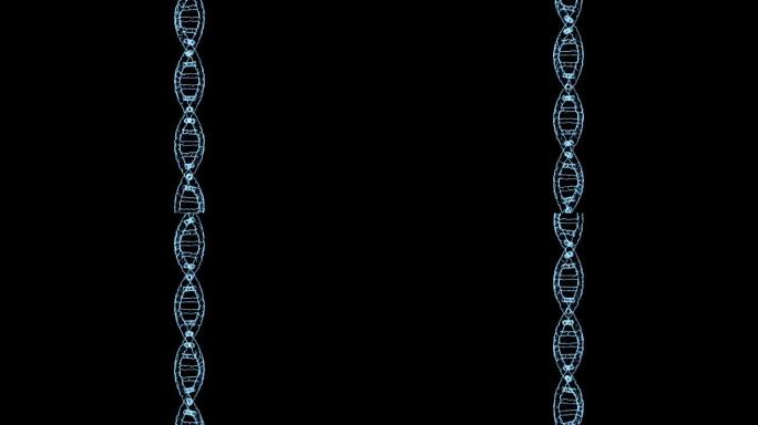DNA，医学3D模型，无缝循环