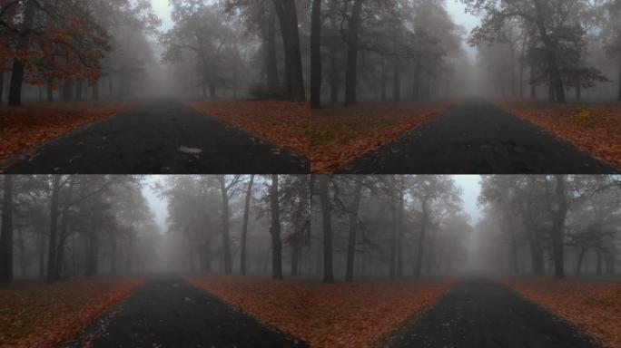 相机在神秘的有雾公园的棕色秋天树木飞过道路