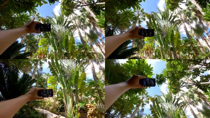 4k慢动作60fps在雨林丛林拍照的视点