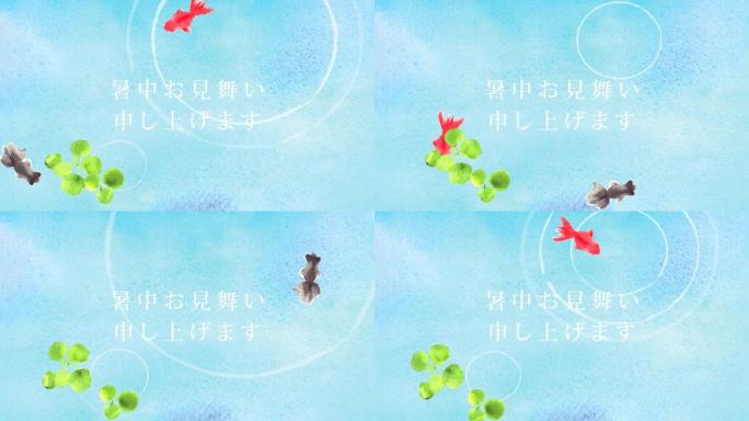 水面水彩上有波纹的金鱼。Summer greeting动画./日文翻译为《Summer greeti