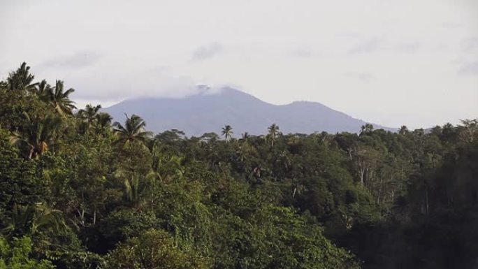 布拉坦山景穿越丛林，巴厘岛