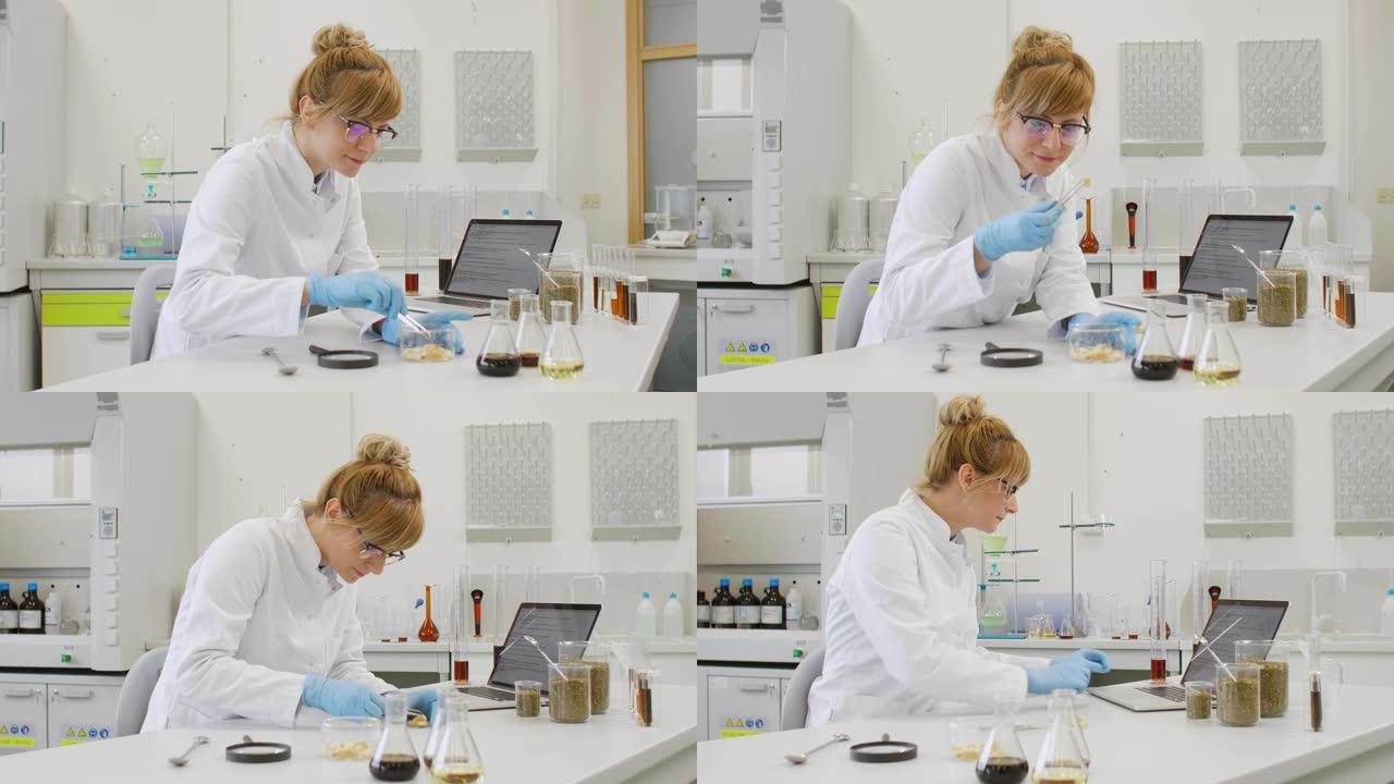 化学家在实验室中使用萜烯CBD晶体，在笔记本电脑上撰写结果
