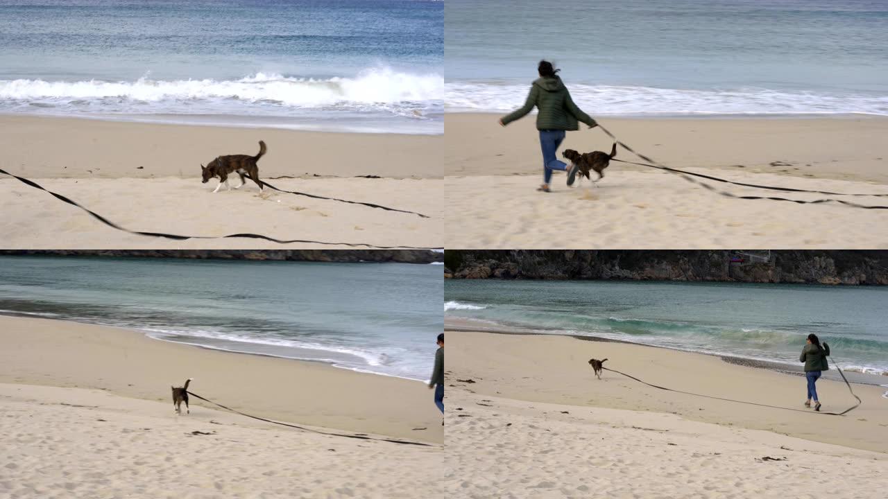 在西班牙，一个女孩和她的狗独自在海边的沙滩上奔跑，在海边