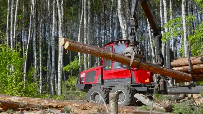 木材装载，将原木装载到卡车中，木材加工，森林砍伐，用爪子装载木材