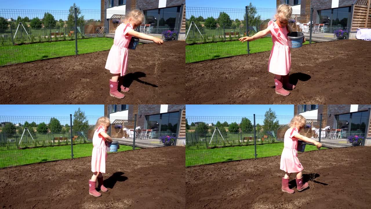 勤奋的小女孩在院子里将新的草种子种到肥沃的土壤中
