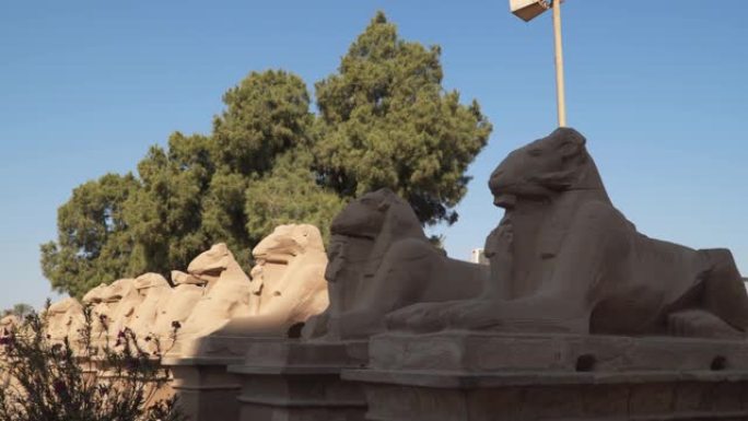 埃及卢克索神庙入口处的公羊雕像