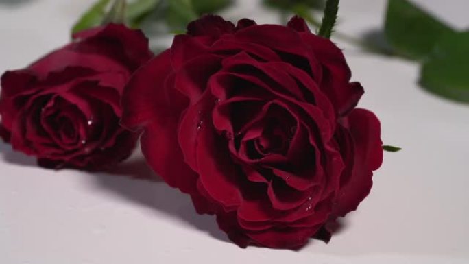 两朵红玫瑰落在白色的表面上，溅起露水