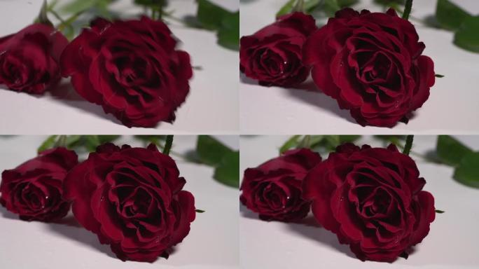 两朵红玫瑰落在白色的表面上，溅起露水