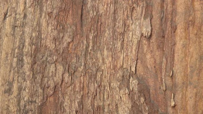 木质背景实拍