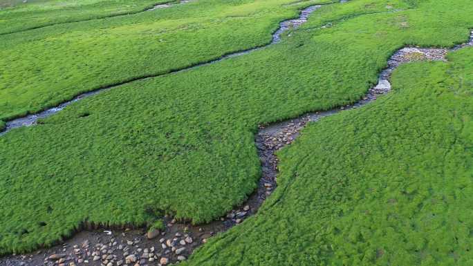 旅行 旅游 水源涵养 水土保持 高原湿地