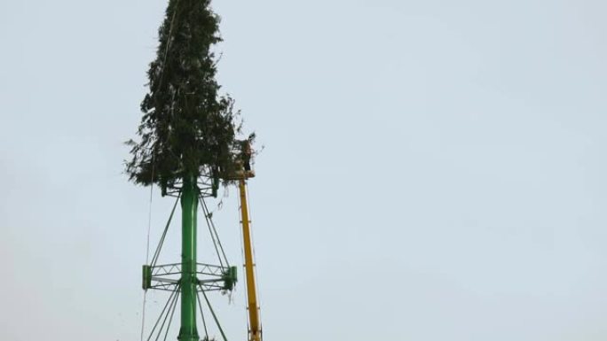 新年假期和庆祝活动结束后，工人们在城市的主要中心广场拆卸了圣诞树结构。第7部分。冬季的高空作业平台。