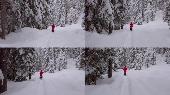 在高山冬季森林中，单身女子雪鞋行走