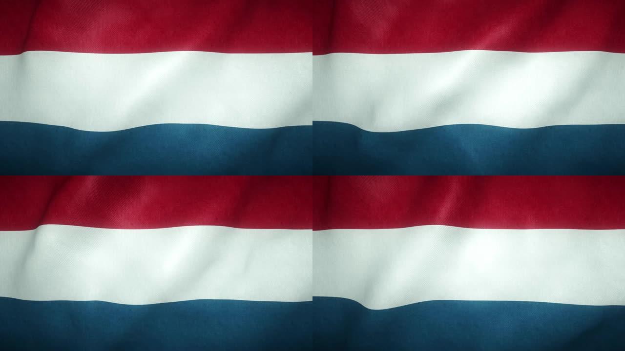 迎风飘扬的荷兰国旗